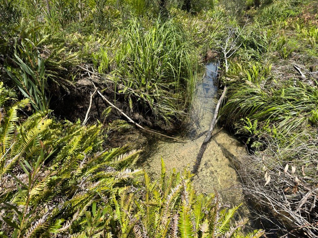 Exploring the Wollangambe Wilderness