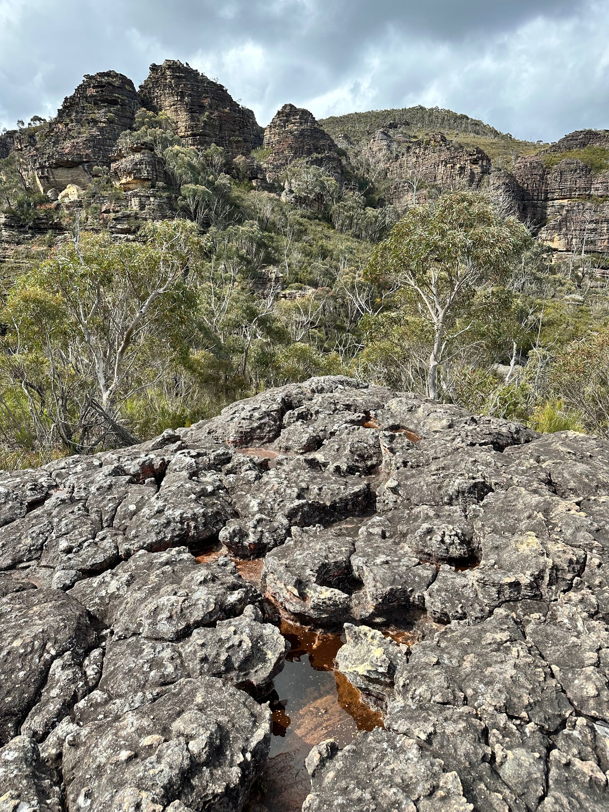 Exploring the Wollangambe Wilderness