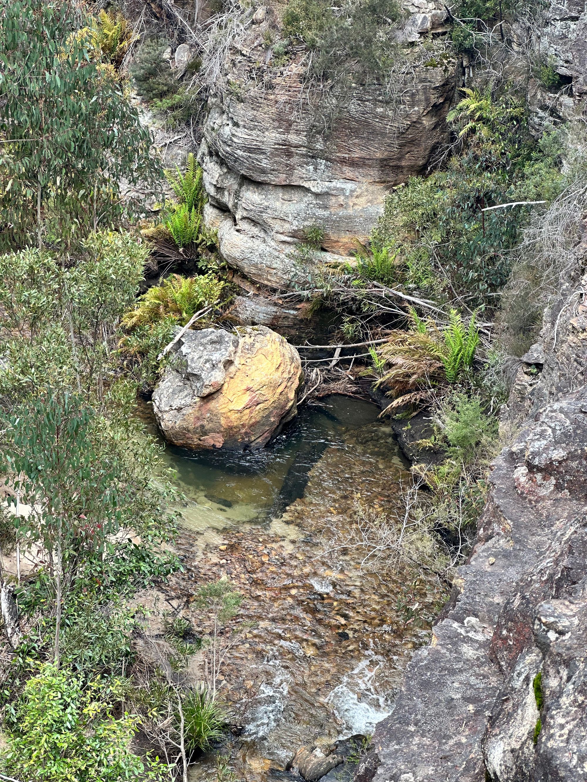 Exploring the Wollangambe Wilderness