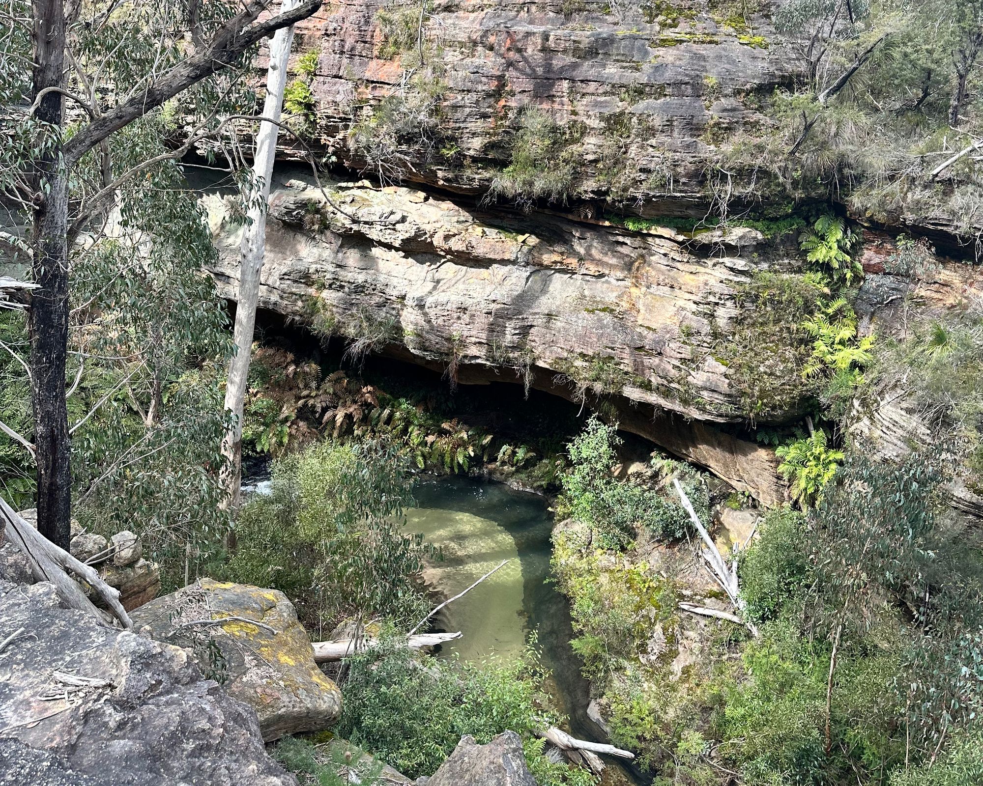 Exploring the Wollangambe Wilderness