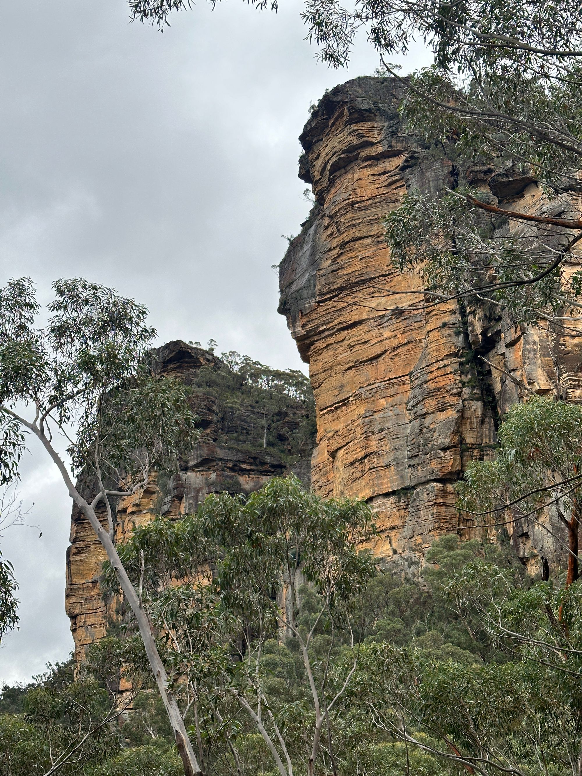 Pierces Pass to Blue Gum Forest walking track