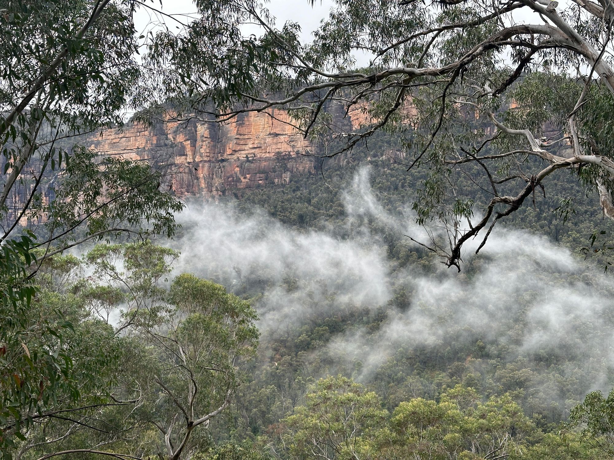 Pierces Pass to Blue Gum Forest walking track