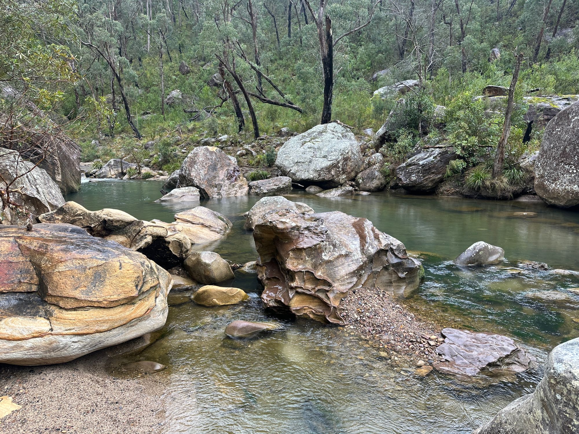 Pierces Pass to Blue Gum Forest walking track