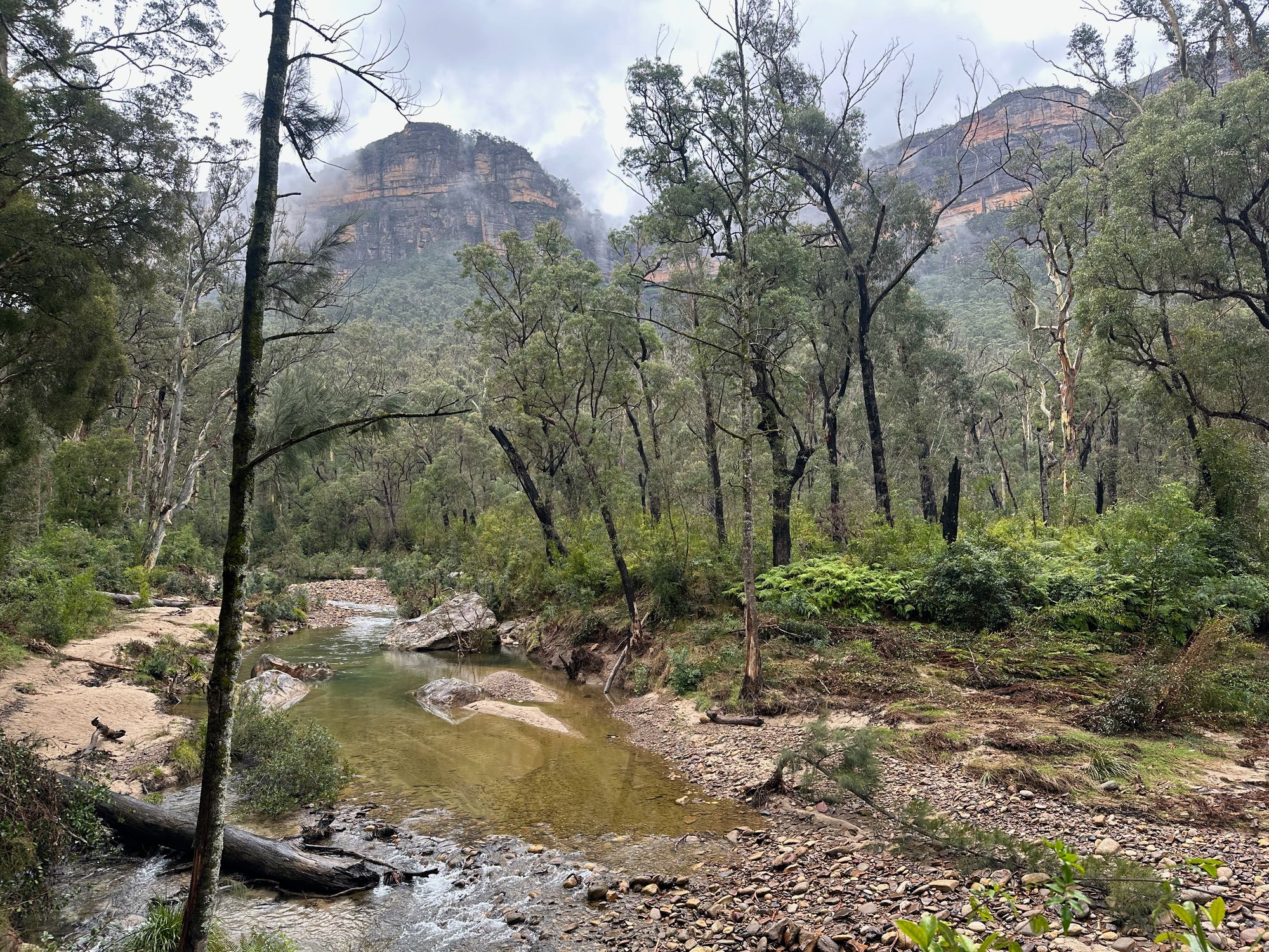 Pierces Pass to Blue Gum Forest walking track