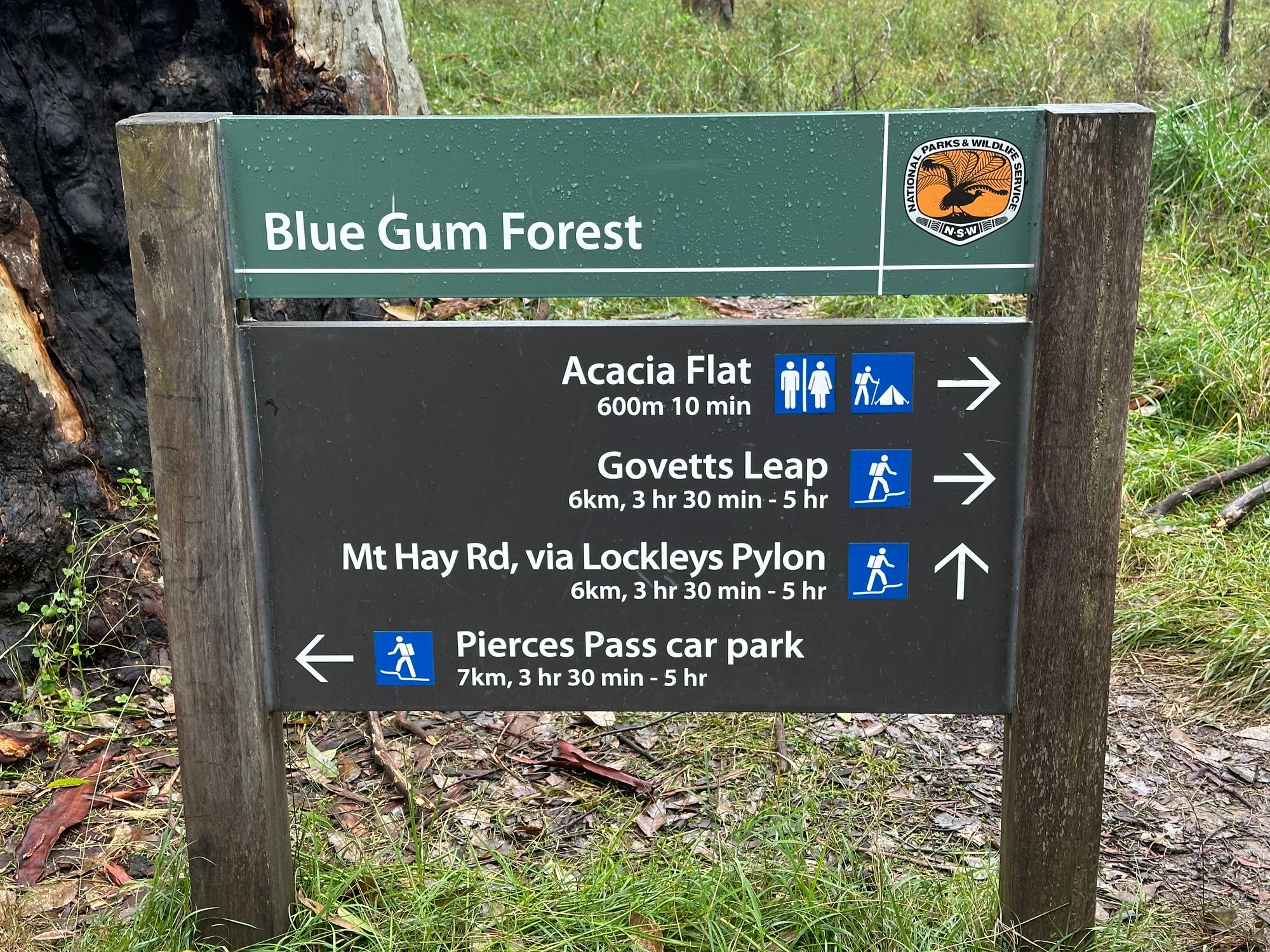 Pierces Pass to Blue Gum Forest walking track