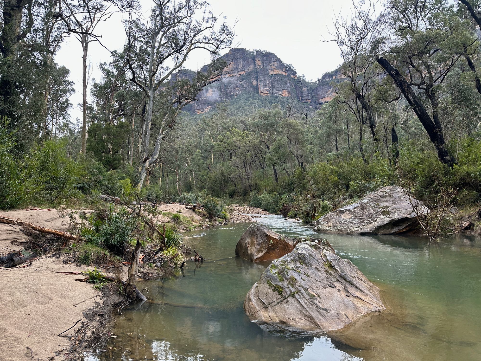 Pierces Pass to Blue Gum Forest walking track