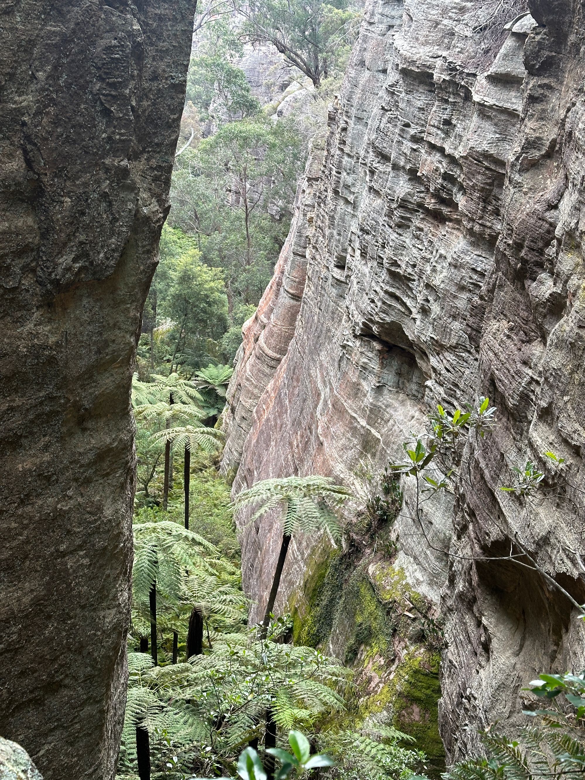 Valley of Dinosaurs, The Grotto and Ultimate Slot Canyon.