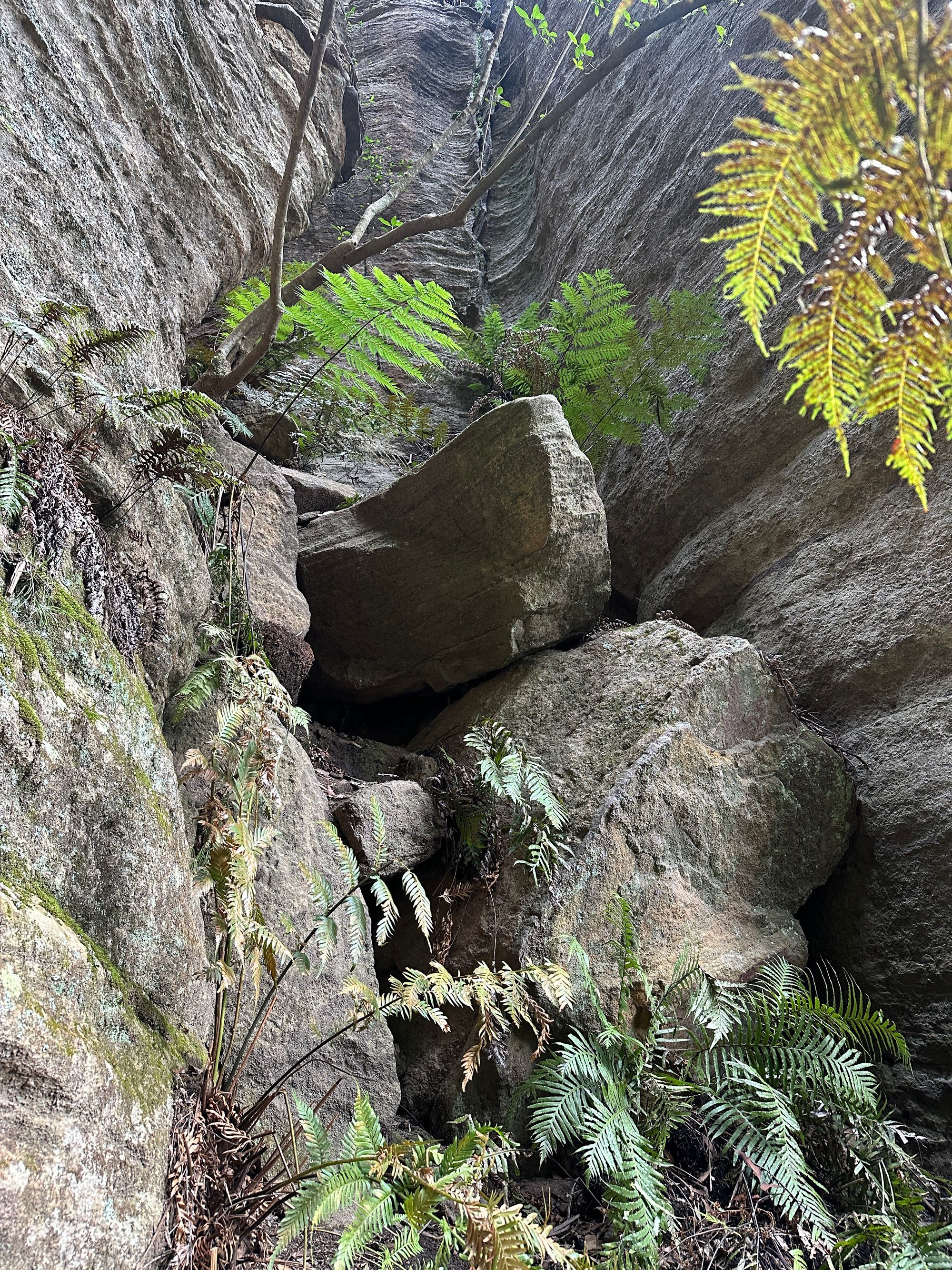 Valley of Dinosaurs, The Grotto and Ultimate Slot Canyon.