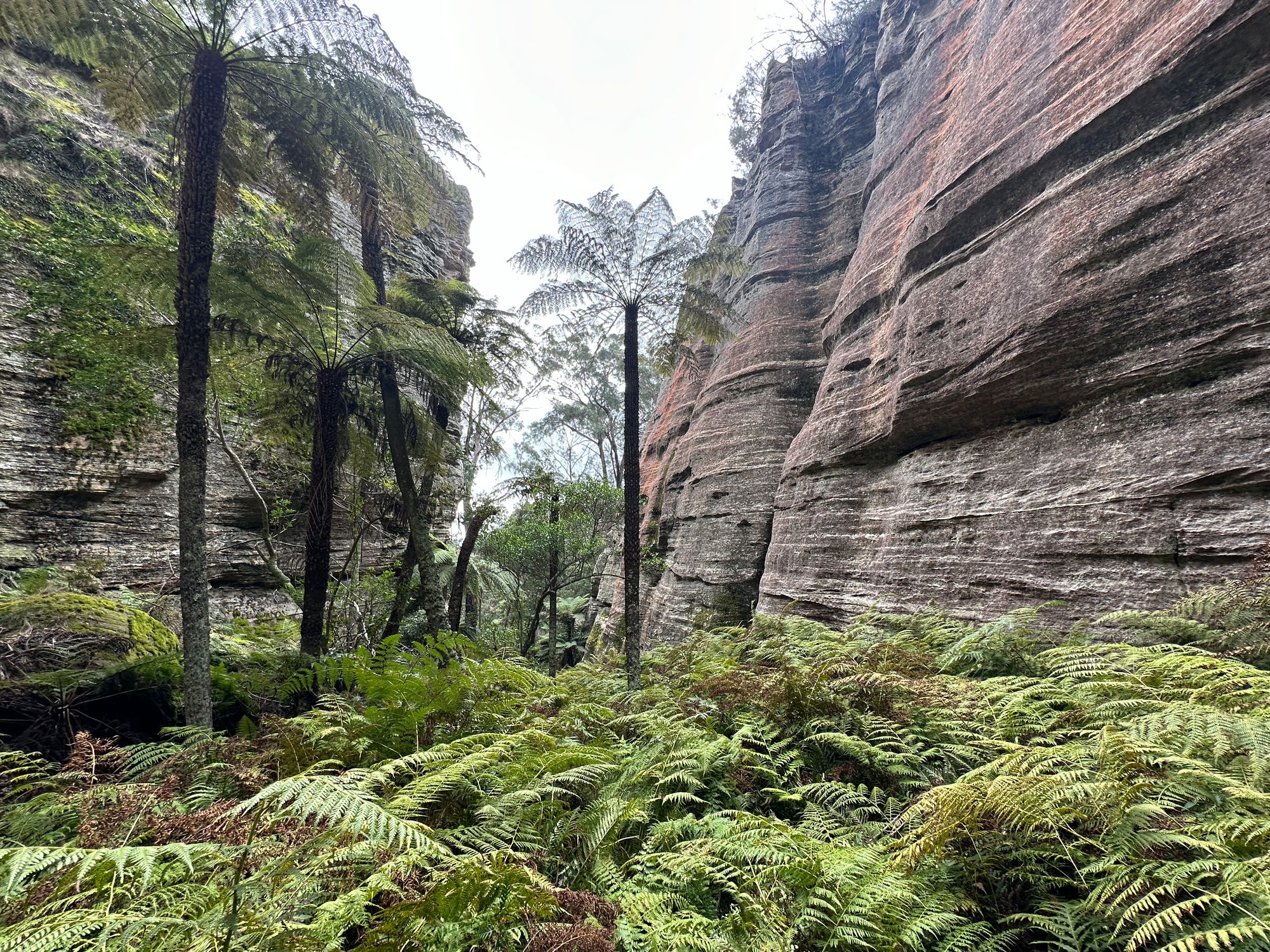 Valley of Dinosaurs, The Grotto and Ultimate Slot Canyon.