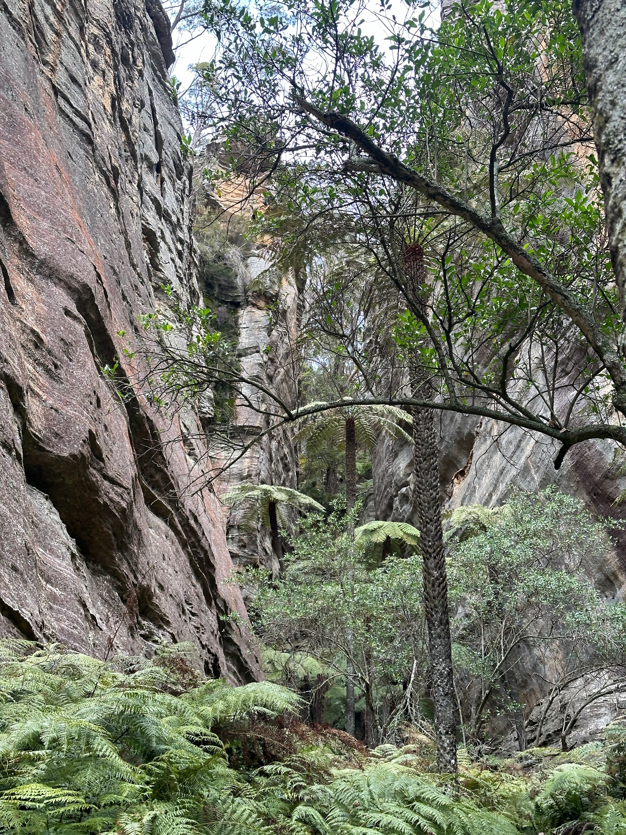 Valley of Dinosaurs, The Grotto and Ultimate Slot Canyon.