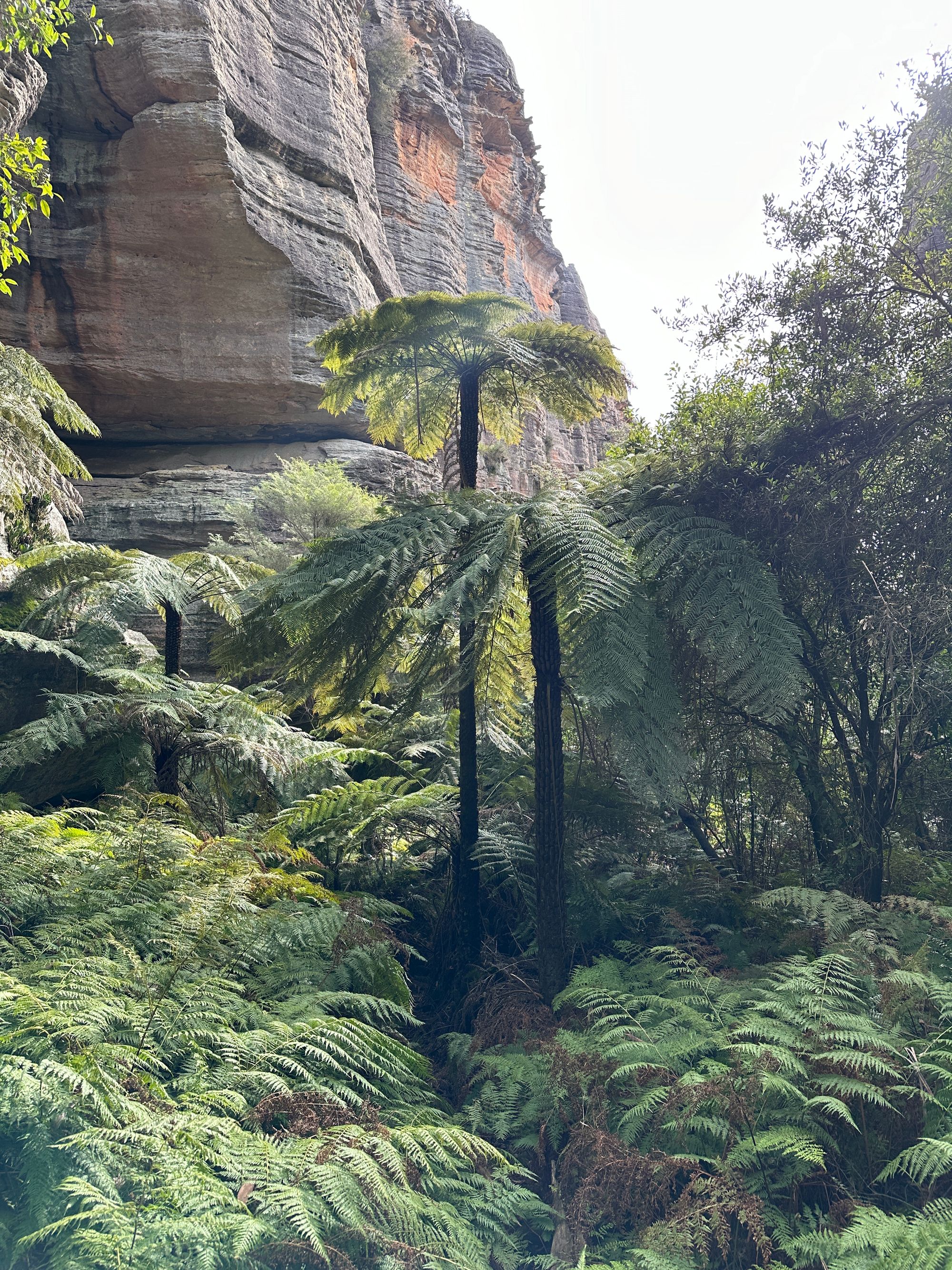 Valley of Dinosaurs, The Grotto and Ultimate Slot Canyon.