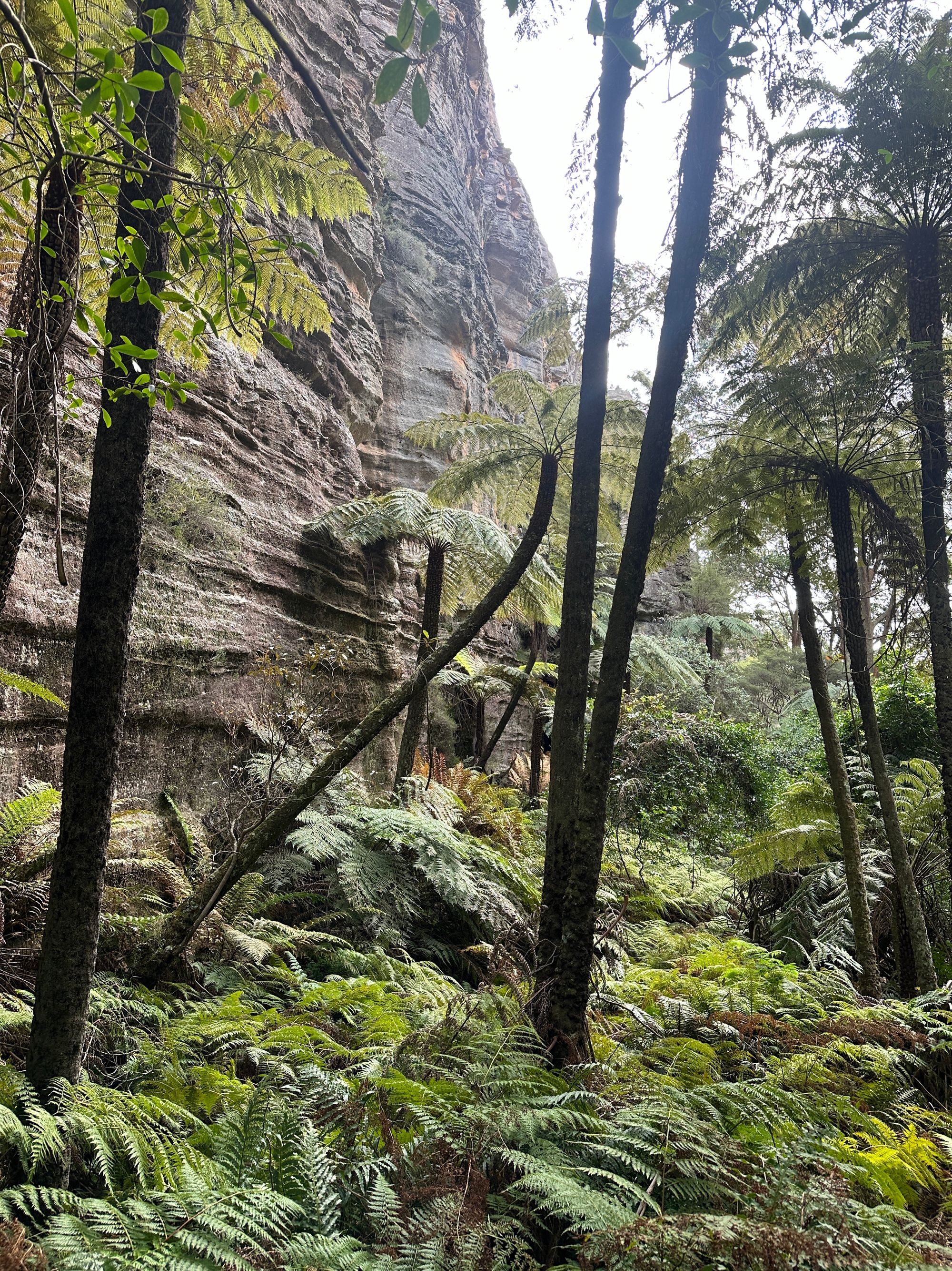 Valley of Dinosaurs, The Grotto and Ultimate Slot Canyon.