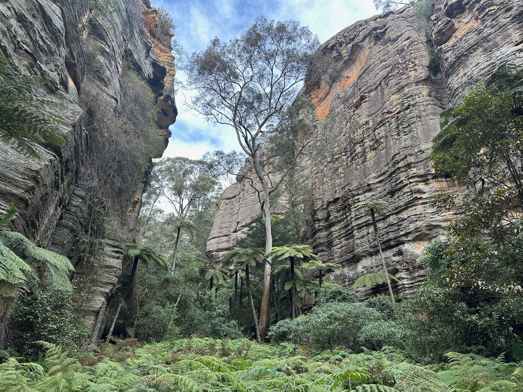 Valley of Dinosaurs, The Grotto and Ultimate Slot Canyon.