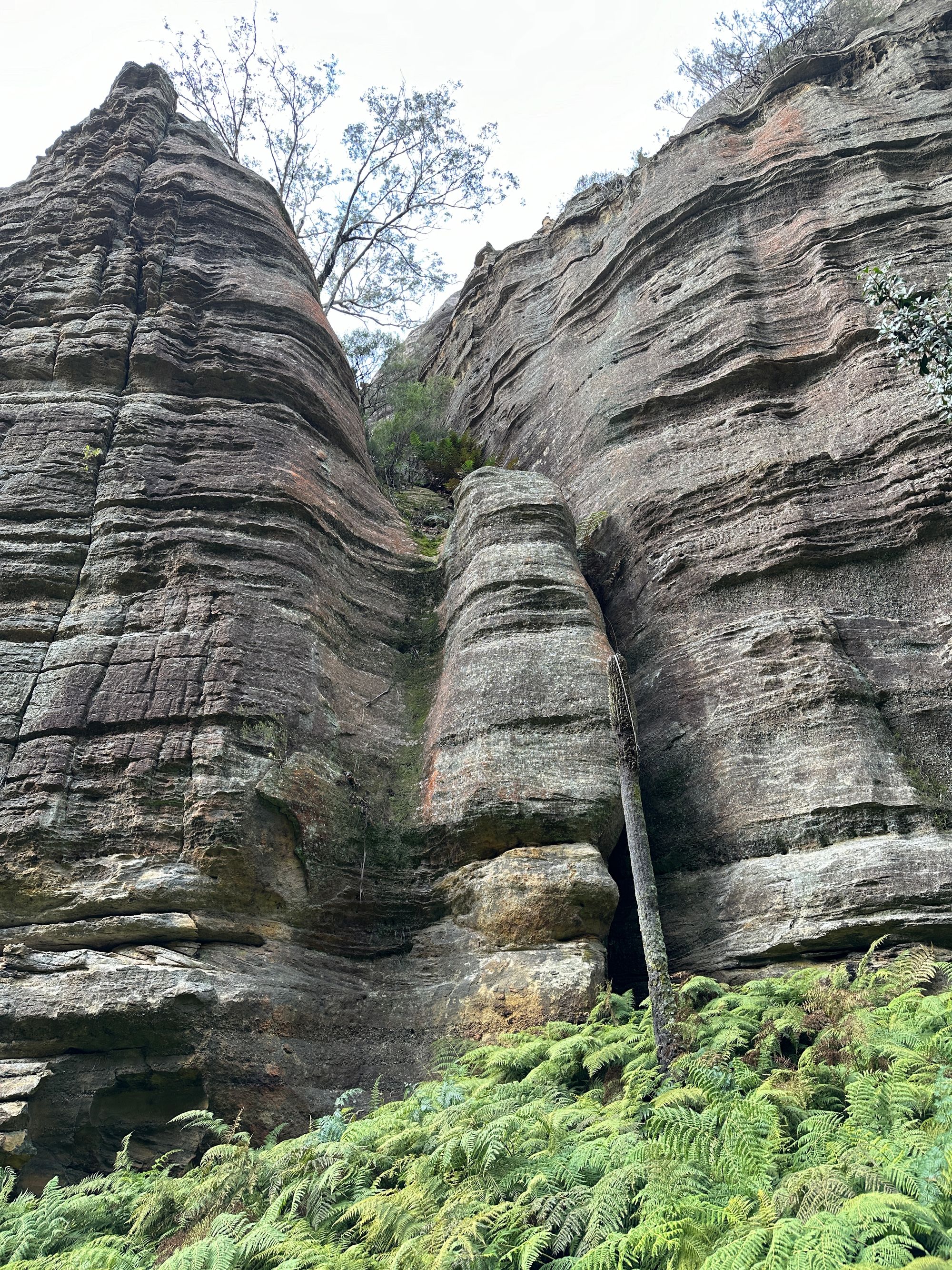 Valley of Dinosaurs, The Grotto and Ultimate Slot Canyon.