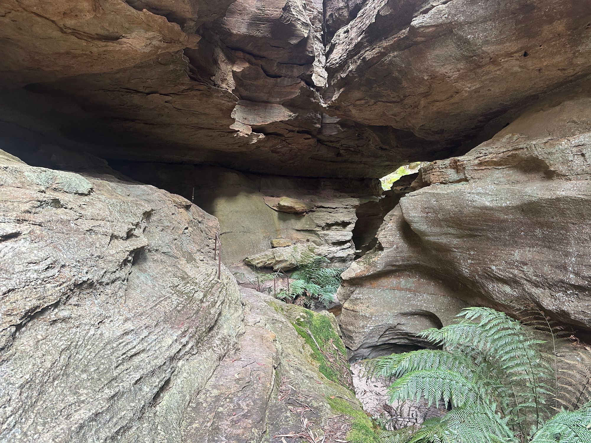 Valley of Dinosaurs, The Grotto and Ultimate Slot Canyon.