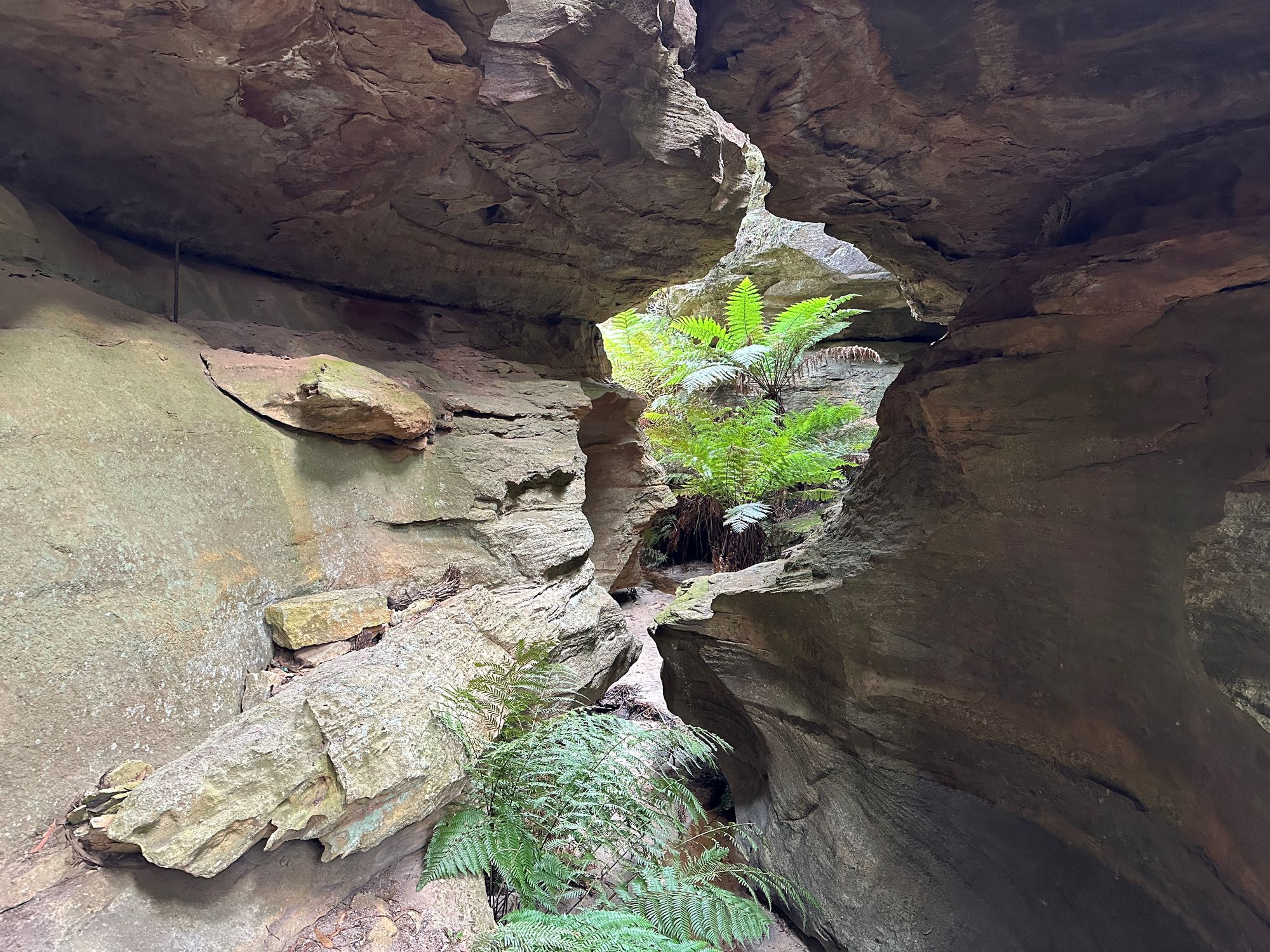 Valley of Dinosaurs, The Grotto and Ultimate Slot Canyon.