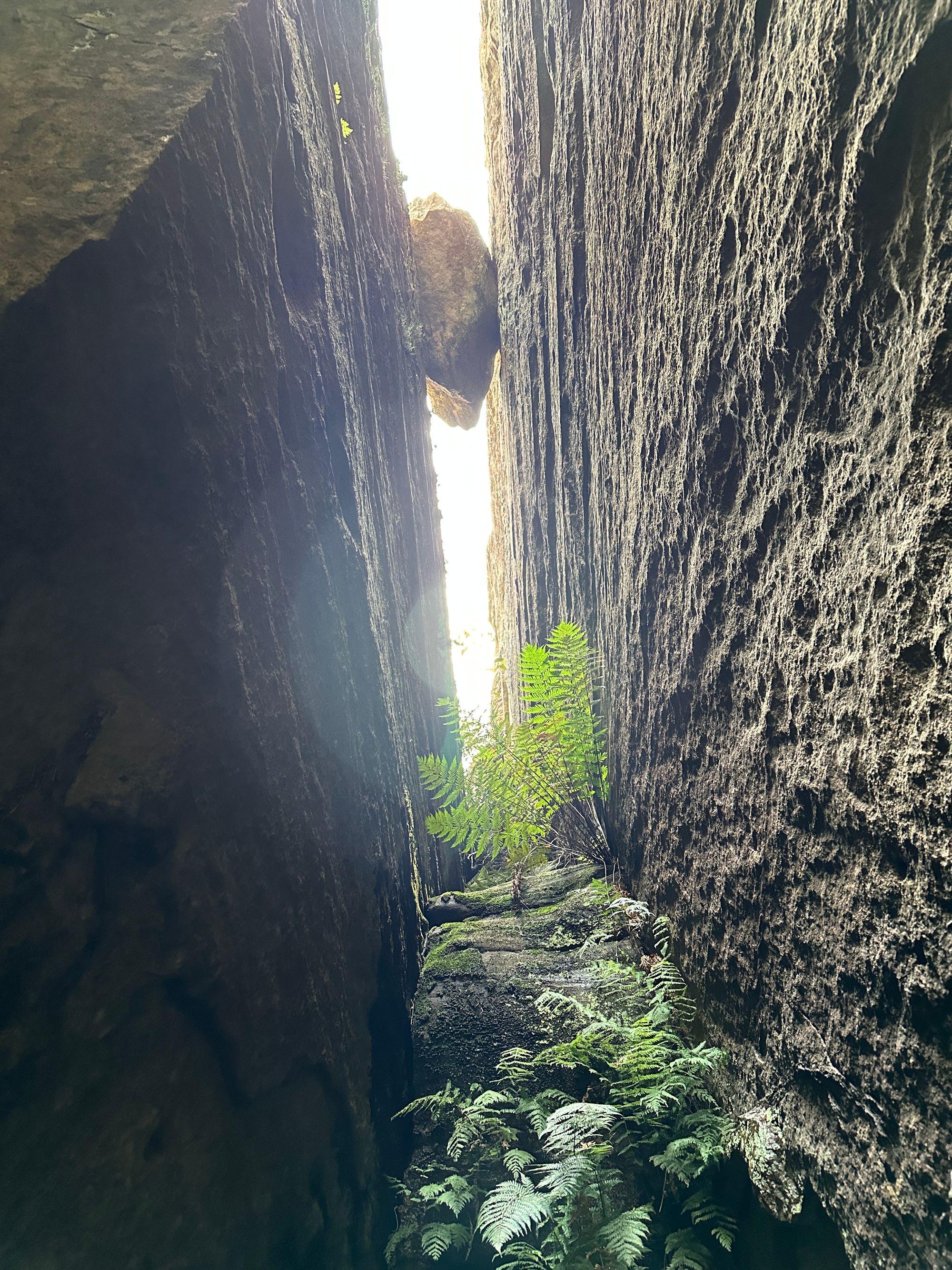 Valley of Dinosaurs, The Grotto and Ultimate Slot Canyon.