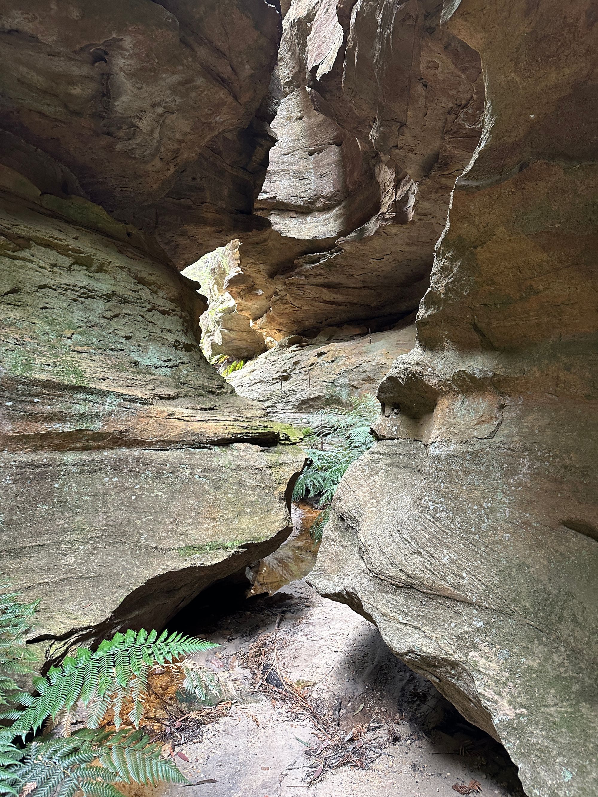 Valley of Dinosaurs, The Grotto and Ultimate Slot Canyon.