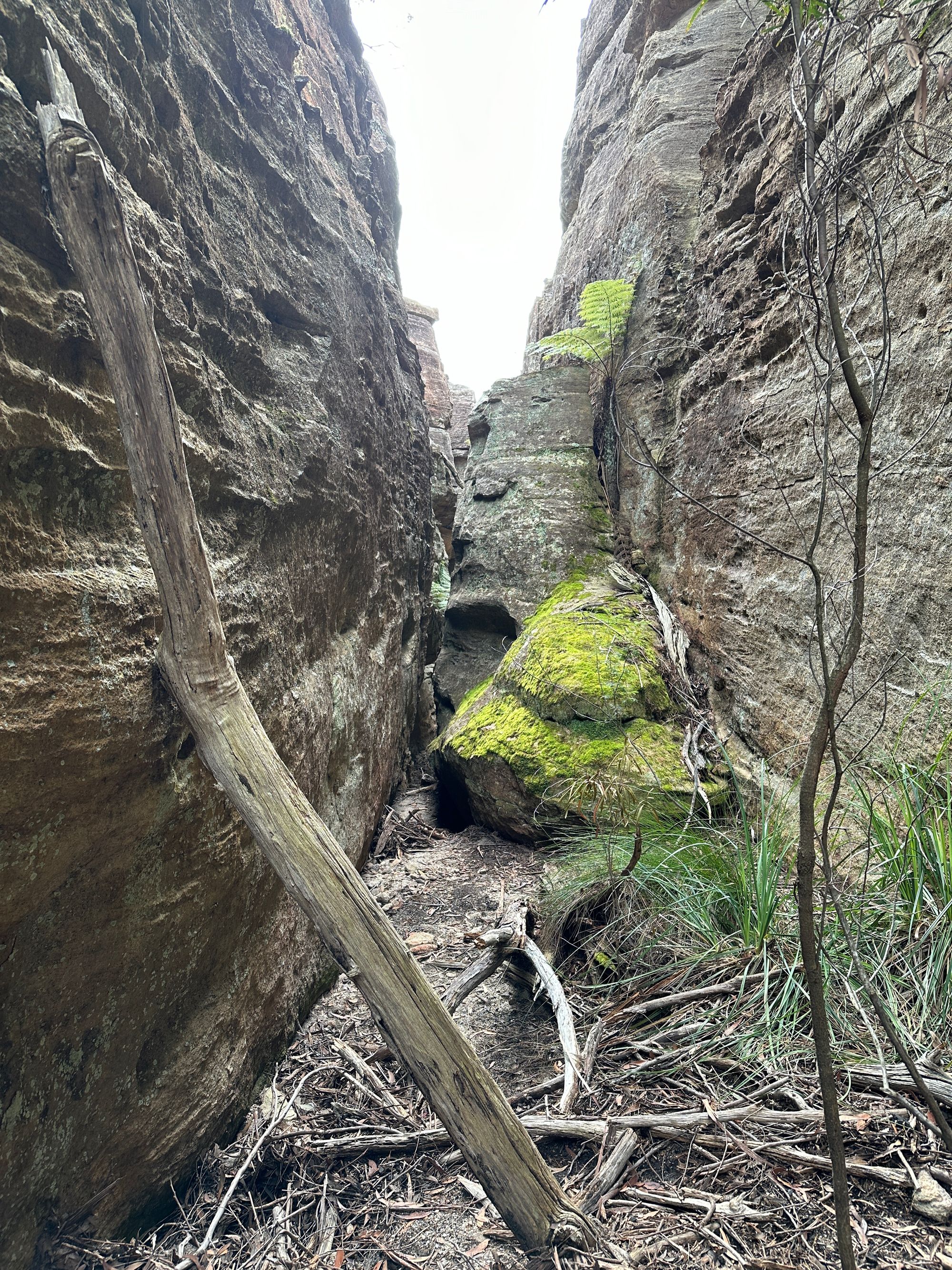 Valley of Dinosaurs, The Grotto and Ultimate Slot Canyon.