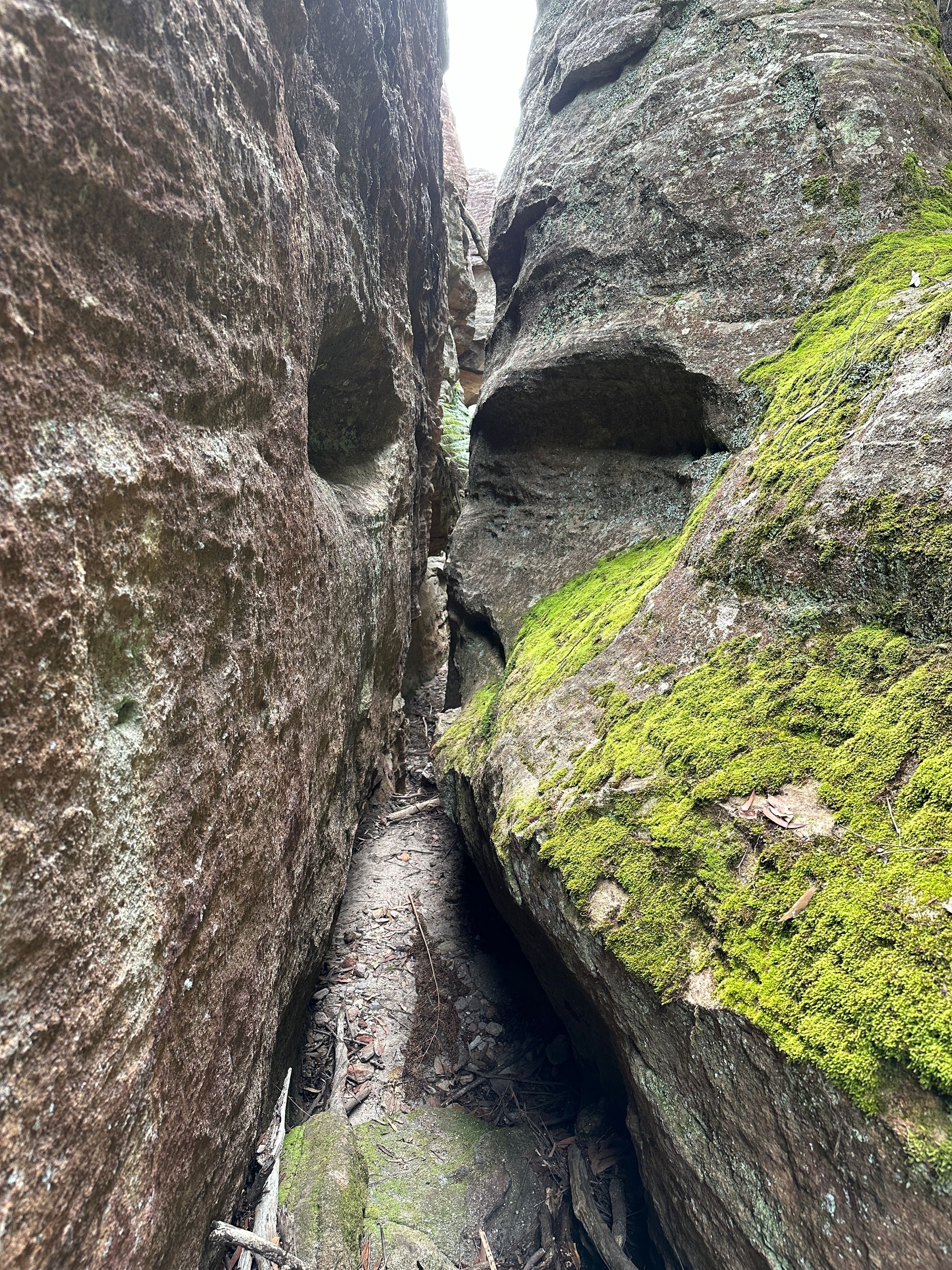 Valley of Dinosaurs, The Grotto and Ultimate Slot Canyon.