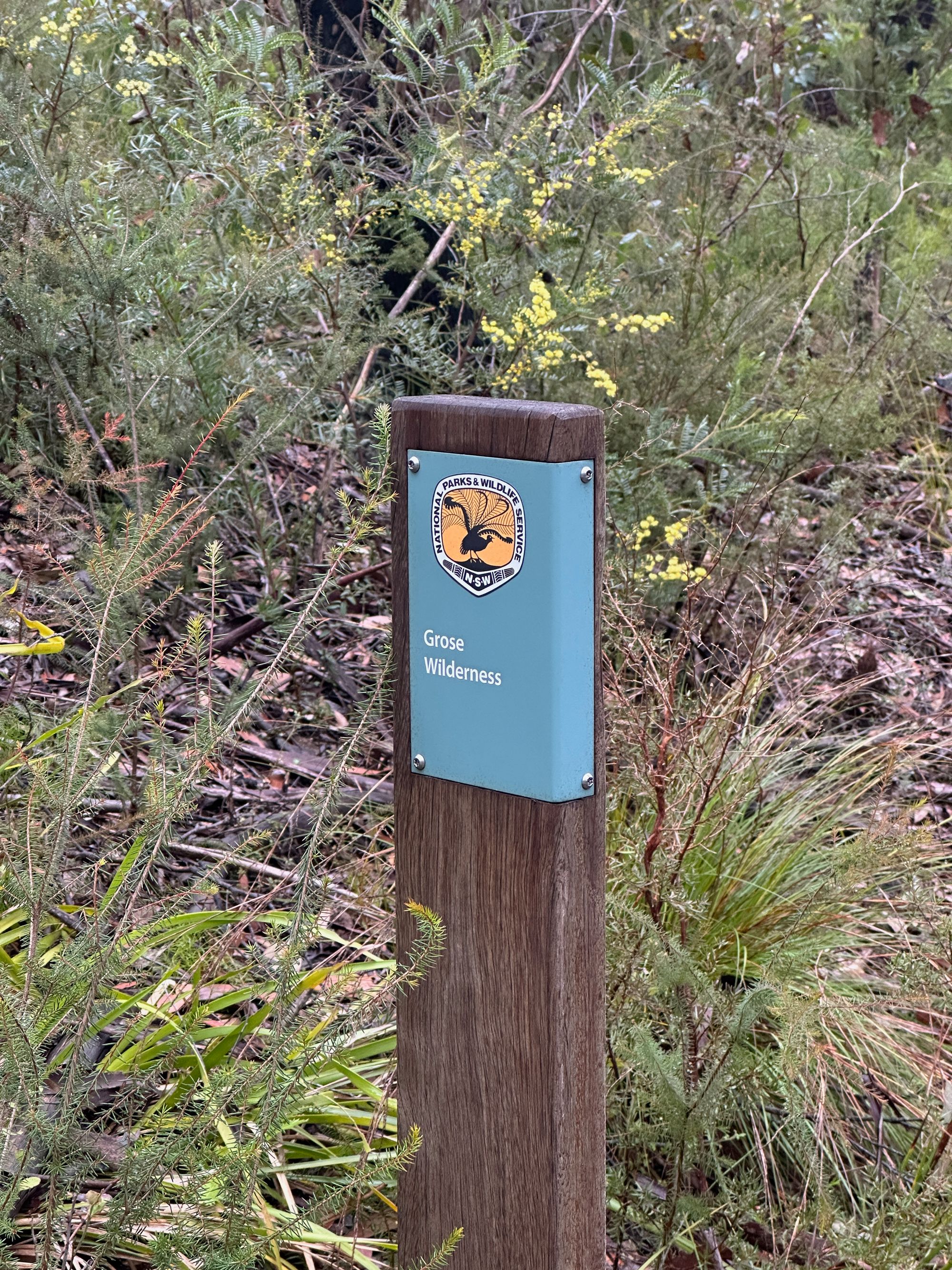 Pierces Pass to Blue Gum Forest walking track